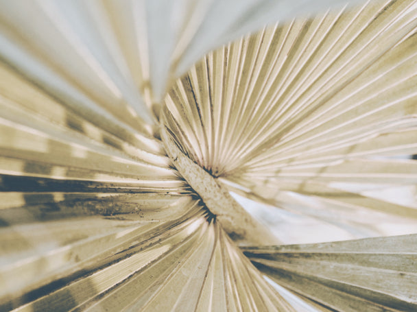 vitamin D benefits in Sanbera supplements